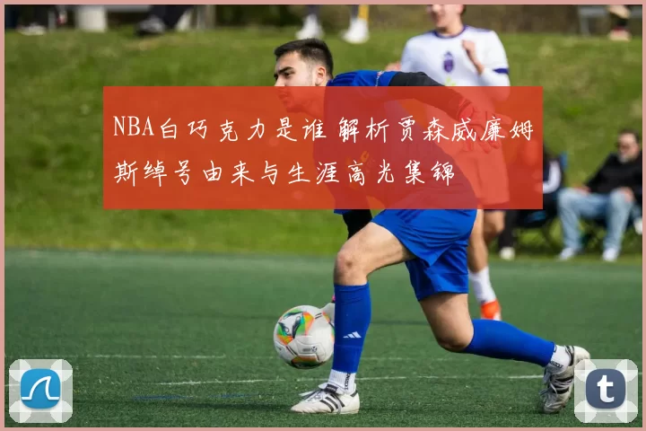 NBA白巧克力是谁 解析贾森威廉姆斯绰号由来与生涯高光集锦