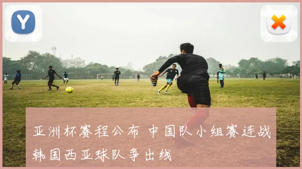 亚洲杯赛程公布 中国队小组赛连战韩国西亚球队争出线