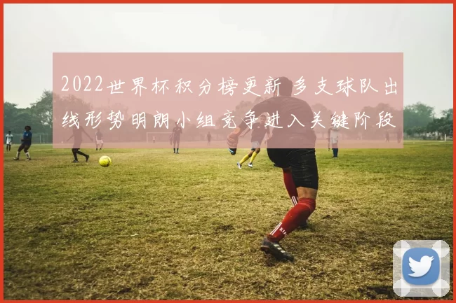 2022世界杯积分榜更新 多支球队出线形势明朗小组竞争进入关键阶段