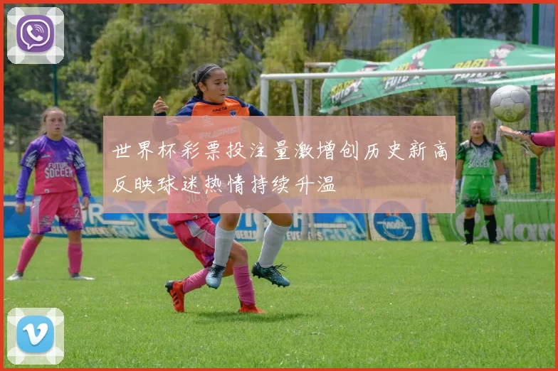 世界杯彩票投注量激增创历史新高反映球迷热情持续升温