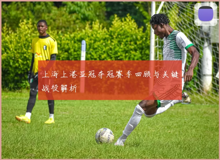 上海上港亚冠夺冠赛季回顾与关键战役解析