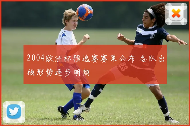2004欧洲杯预选赛赛果公布 各队出线形势逐步明朗