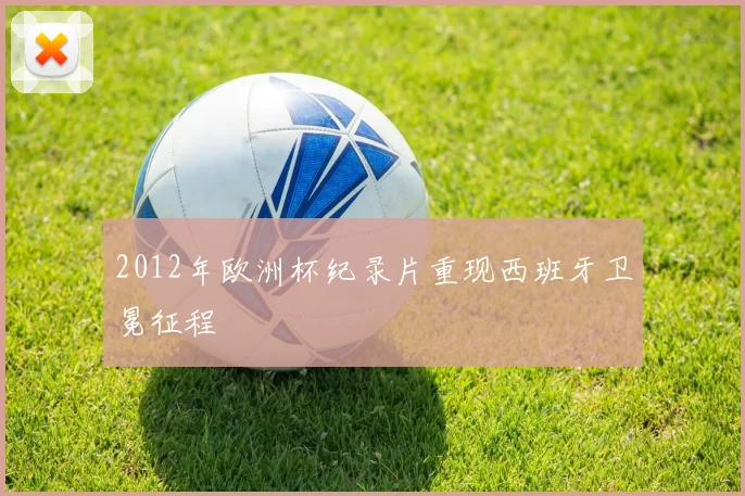 2012年欧洲杯纪录片重现西班牙卫冕征程