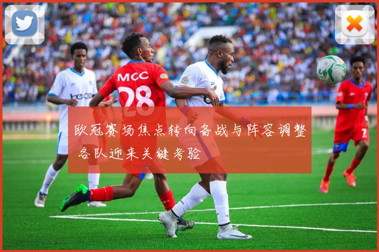 欧冠赛场焦点转向备战与阵容调整 各队迎来关键考验